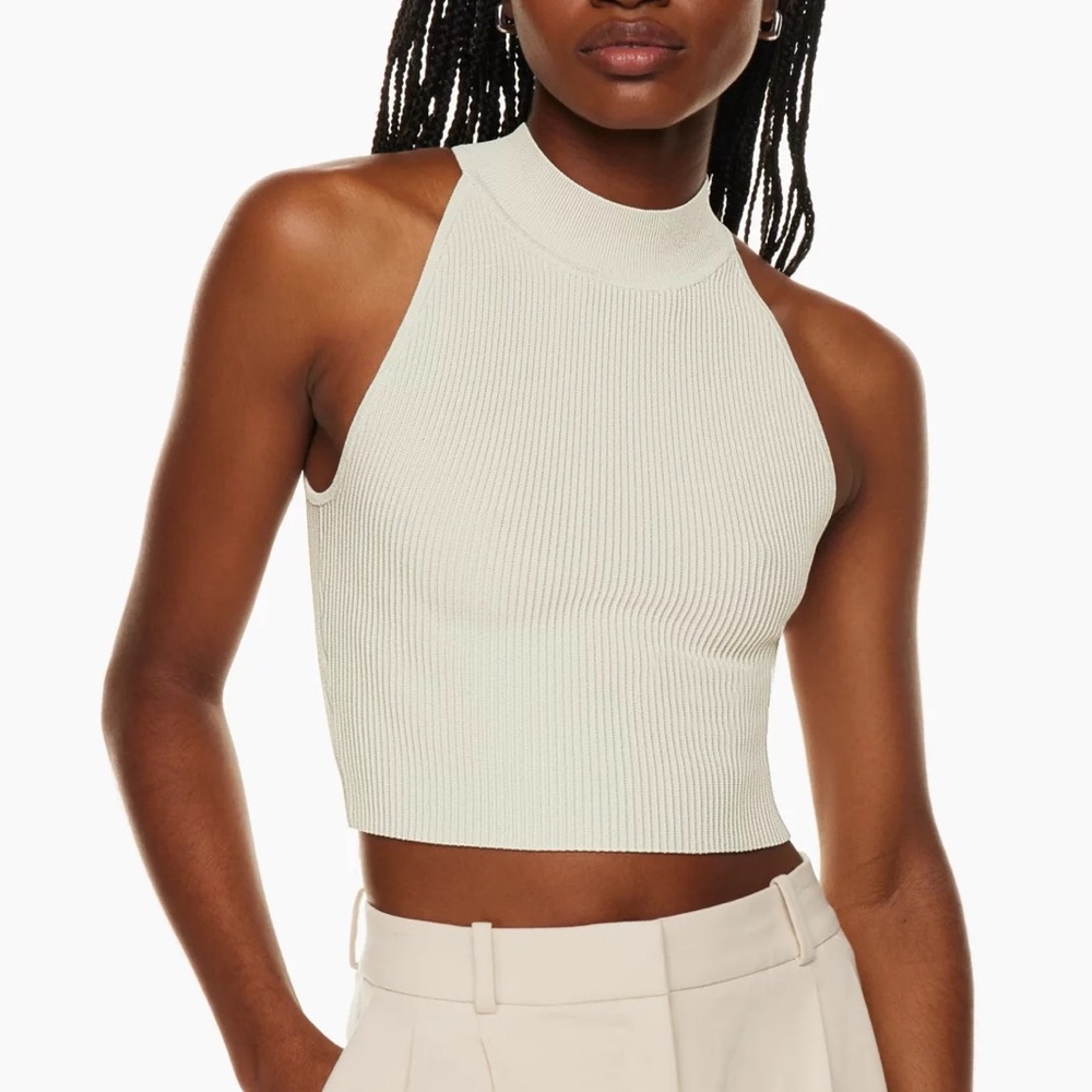 Aritzia Sculpt Knit Mockneck Halter Top